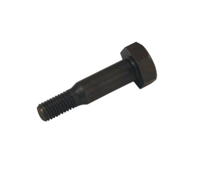 H1242 Bearing Screw (Large)